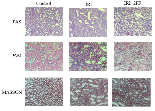 Figure2.jpg