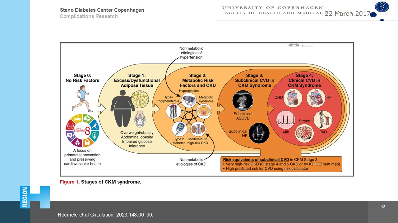 rossing 2026 hypertension ckd.jpg